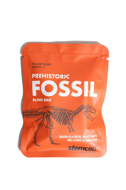 Fossil Blind Bag