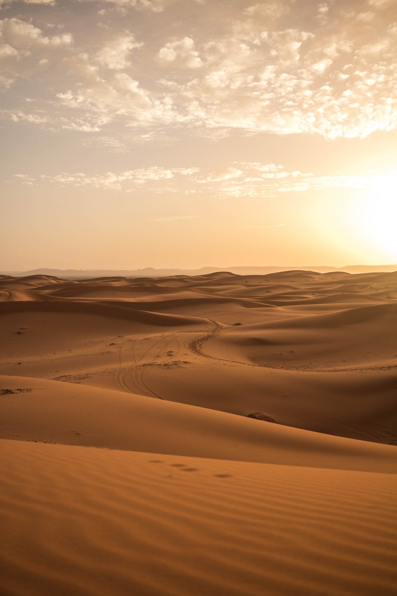 Sahara Desert Sand