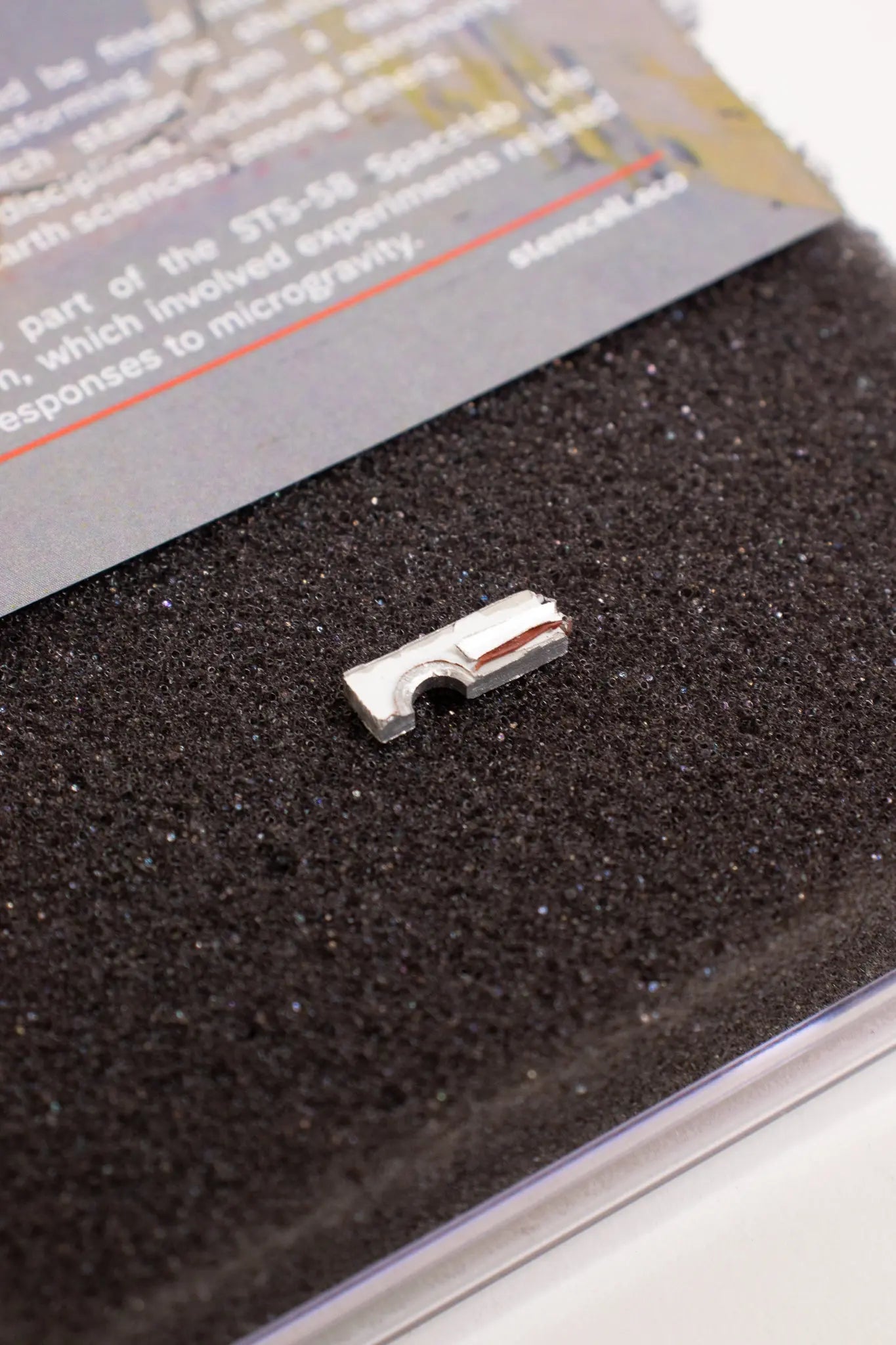 Spacelab Fragment